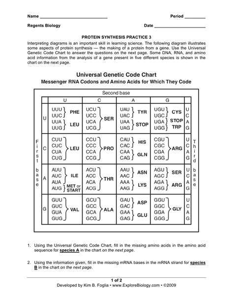 Transcription and Translation Worksheet Answers | Mychaume.com